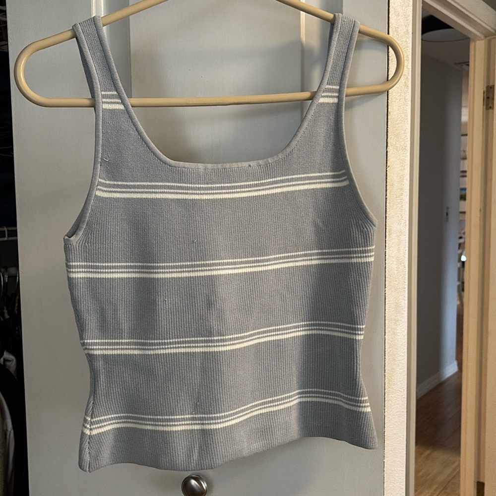 ARITZIA Barton blue and white cropped tank